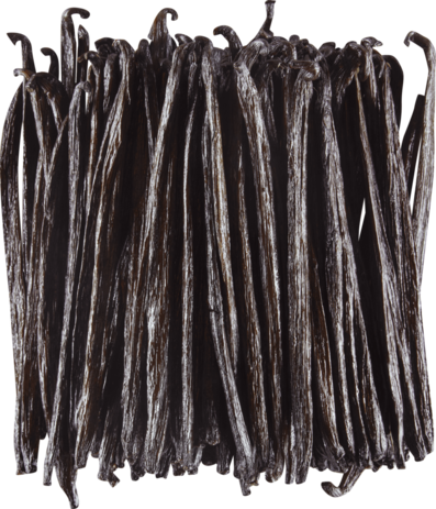 Planifolia 20 cm & up