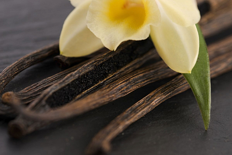 Storing vanilla pods: tips and tricks